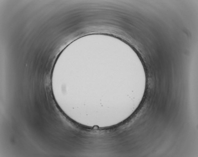 X0000114241521200911061537