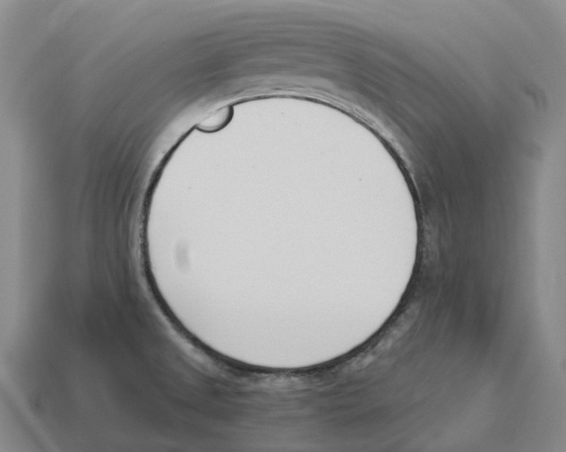 X0000114241525200911061537