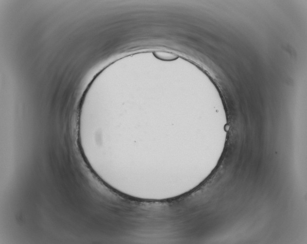 X0000114241526200911061537