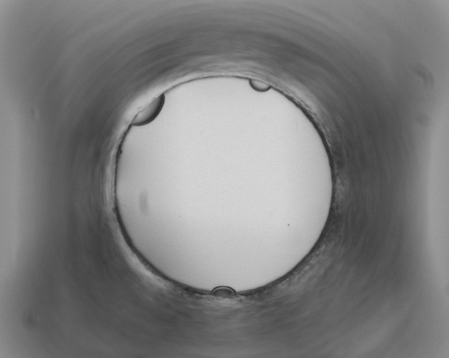 X0000114241528200911061537
