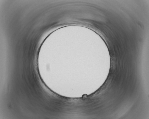 X0000114241531200911061537