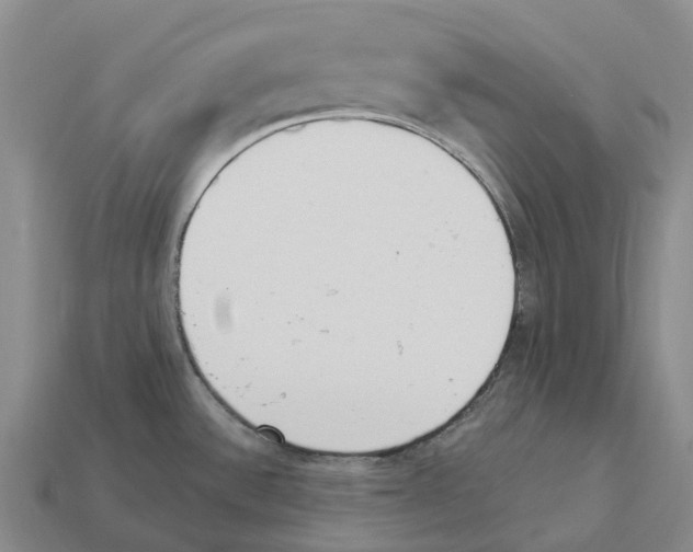 X0000114241532200911061538