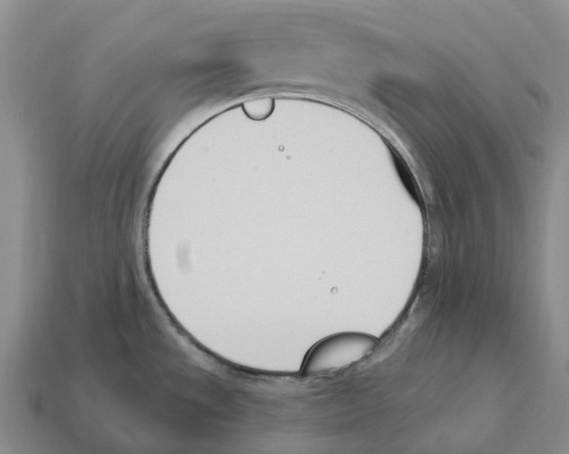 X0000114241533200911061538