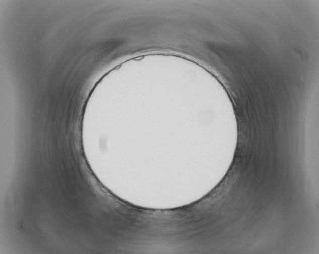X0000114241534200911061538