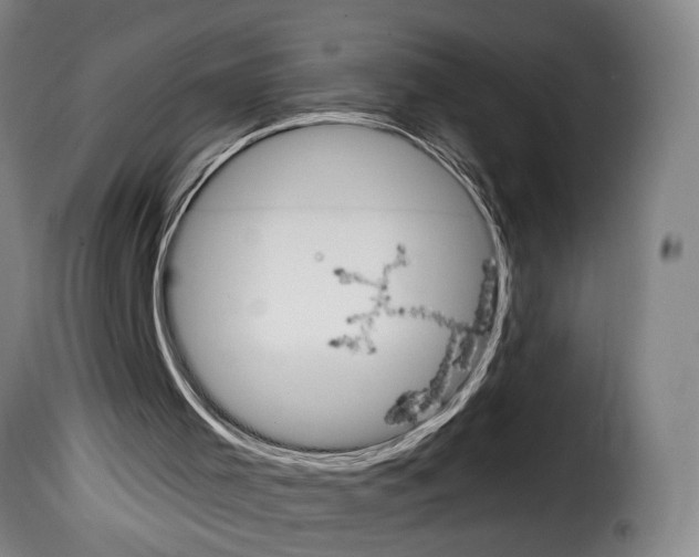 X0000114240001200911201145