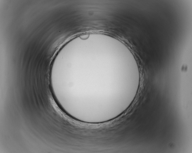 X0000114240002200911201145