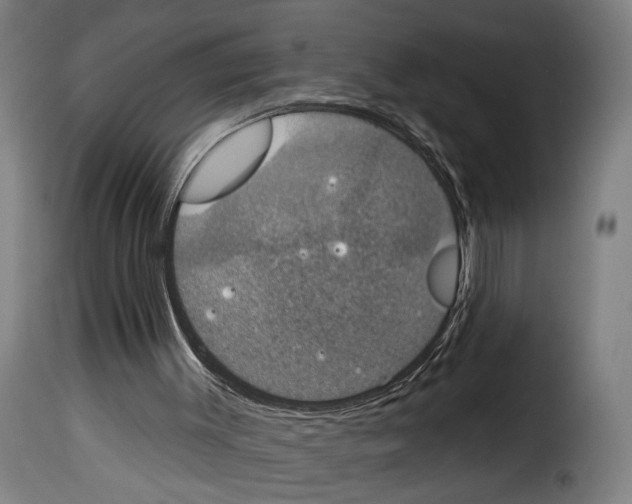 X0000114240003200911201145