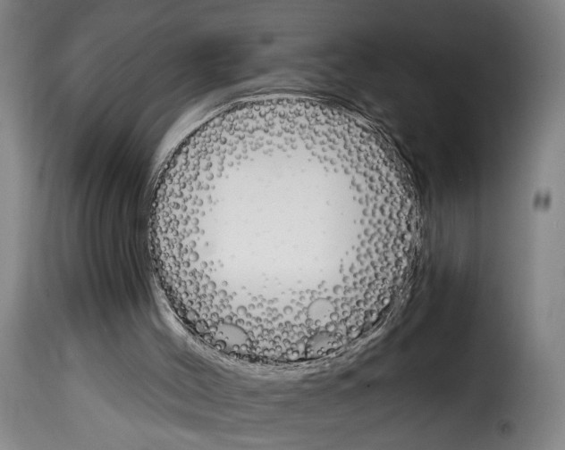 X0000114240004200911201145