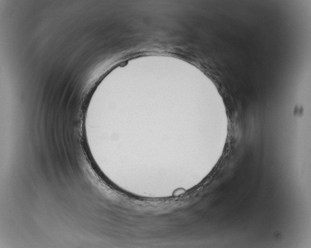 X0000114240005200911201145