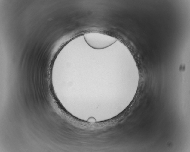 X0000114240006200911201145