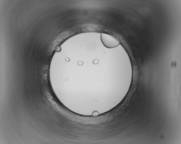 X0000114240010200911201145