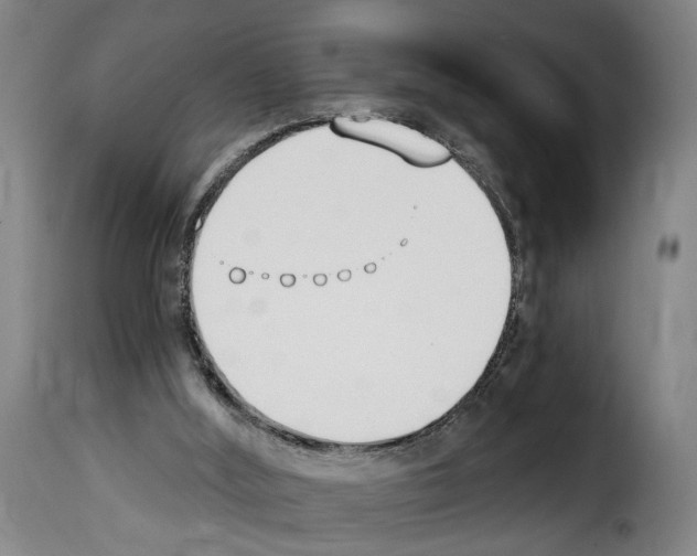 X0000114240012200911201145