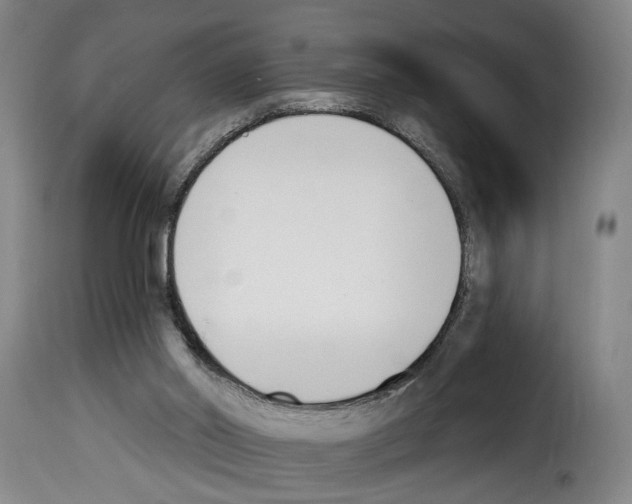 X0000114240014200911201145