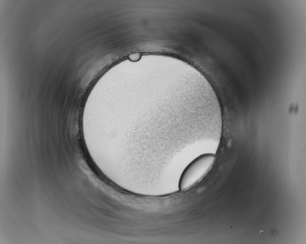 X0000114240015200911201145