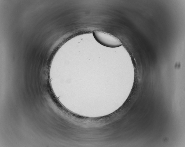 X0000114240016200911201145