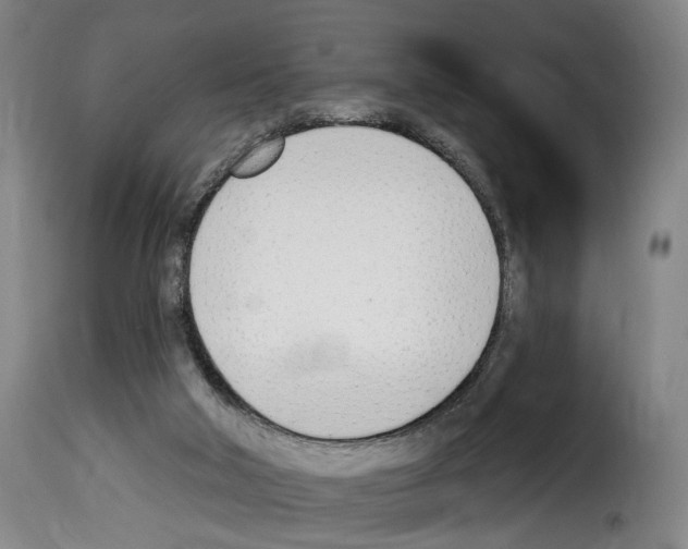 X0000114240018200911201145