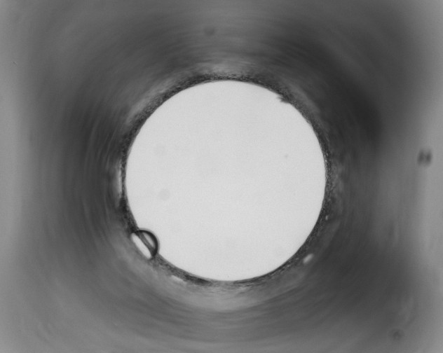 X0000114240020200911201145