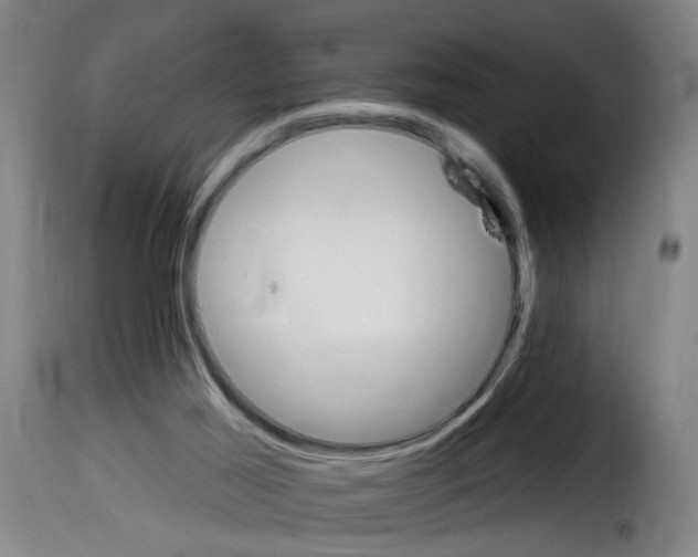 X0000114240021200911201145