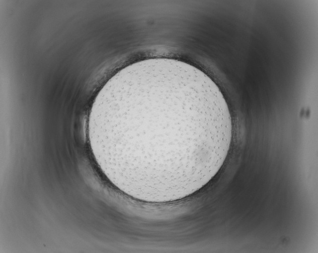 X0000114240022200911201145