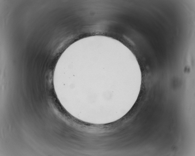 X0000114240024200911201144