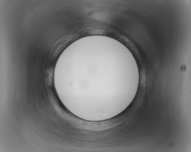 X0000114240026200911201144