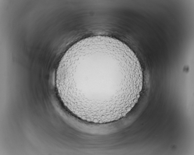 X0000114240028200911201144