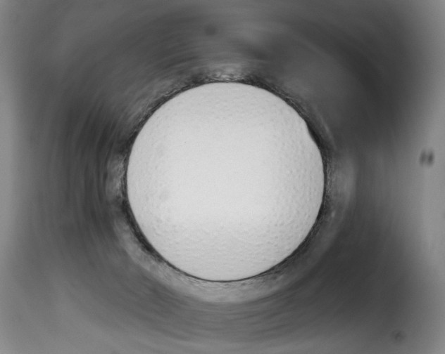 X0000114240030200911201144