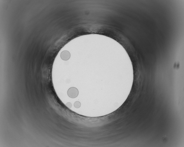 X0000114240031200911201144