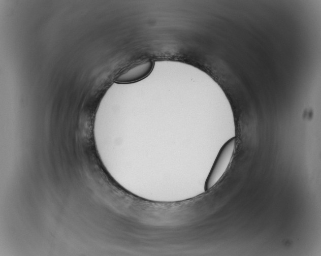 X0000114240037200911201144