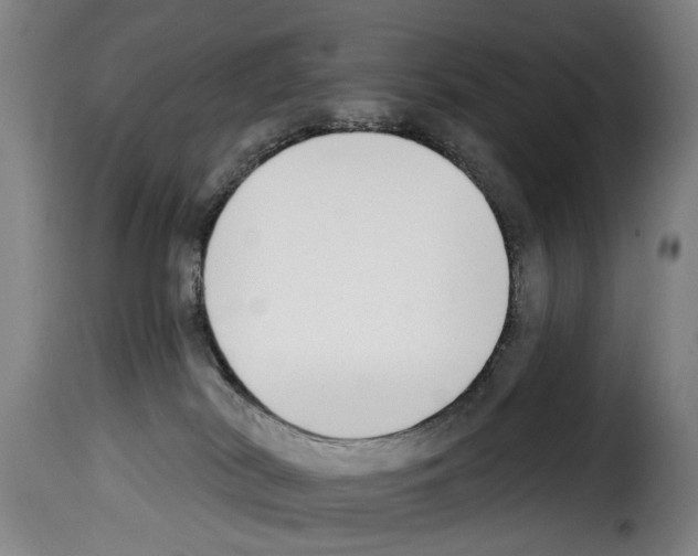 X0000114240038200911201144