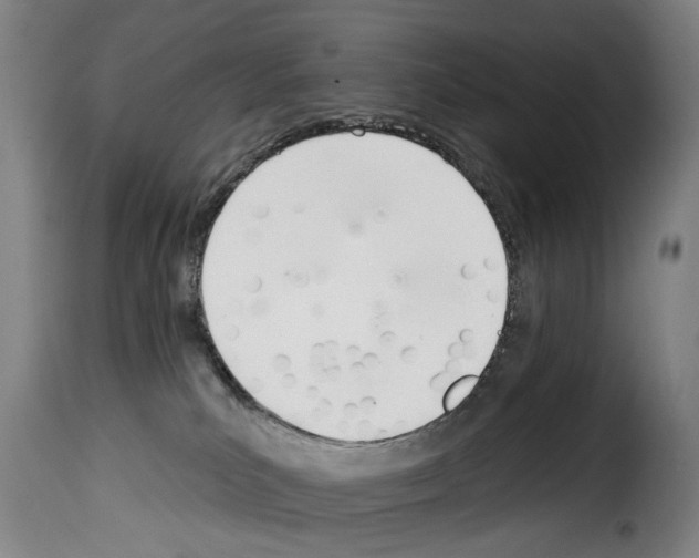 X0000114240039200911201144