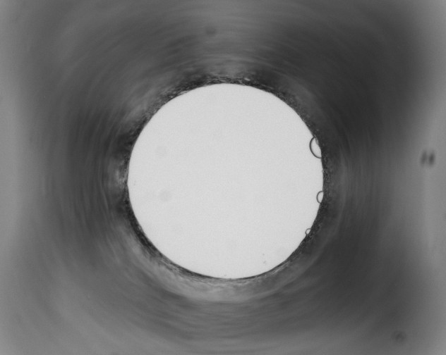 X0000114240040200911201144