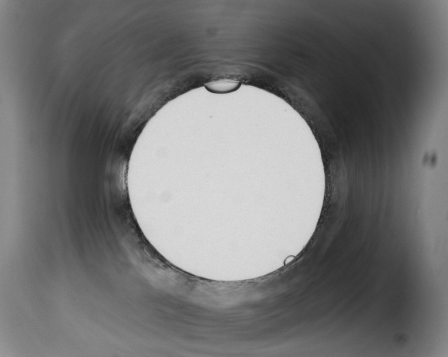 X0000114240041200911201144