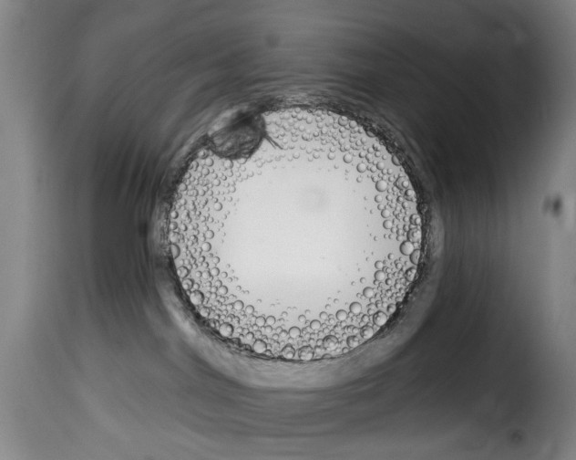 X0000114240044200911201144