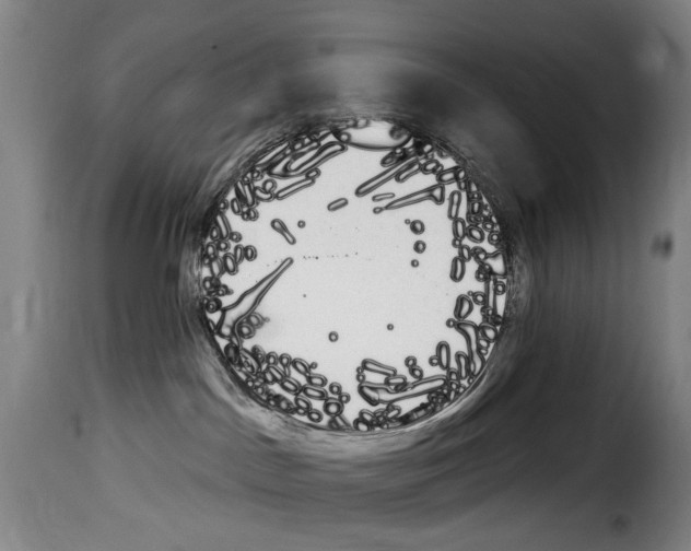 X0000114240045200911201144