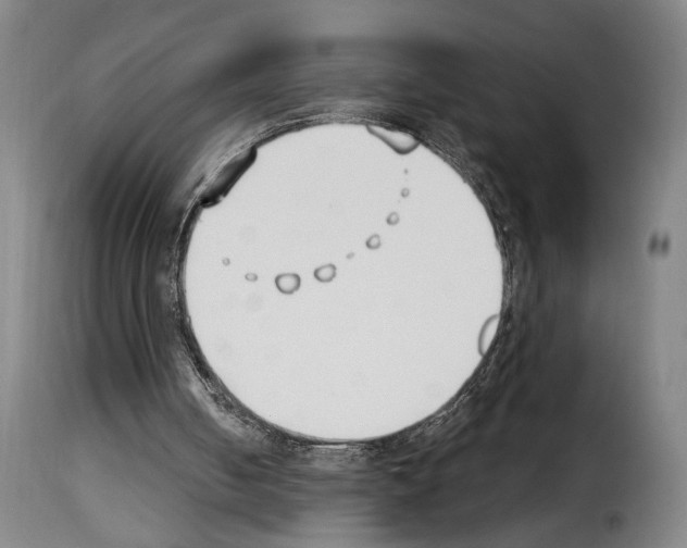 X0000114240050200911201143