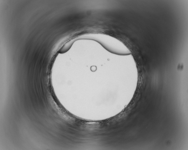 X0000114240053200911201143