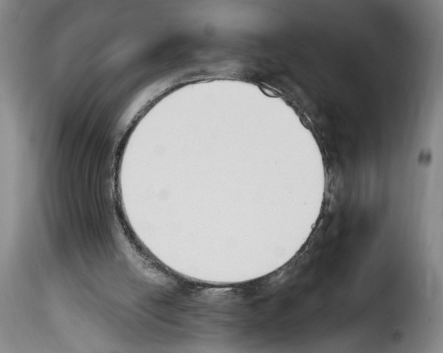 X0000114240054200911201143