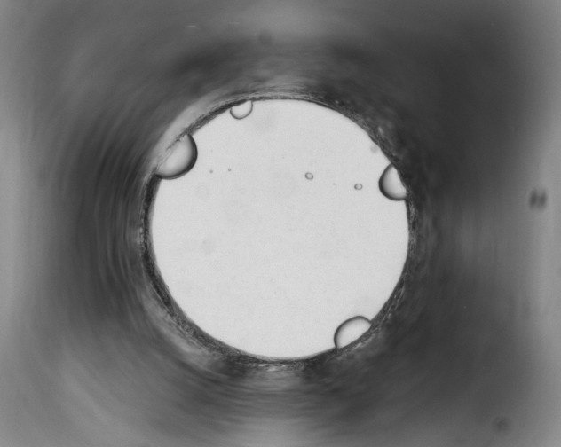 X0000114240056200911201143