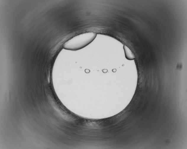 X0000114240062200911201143