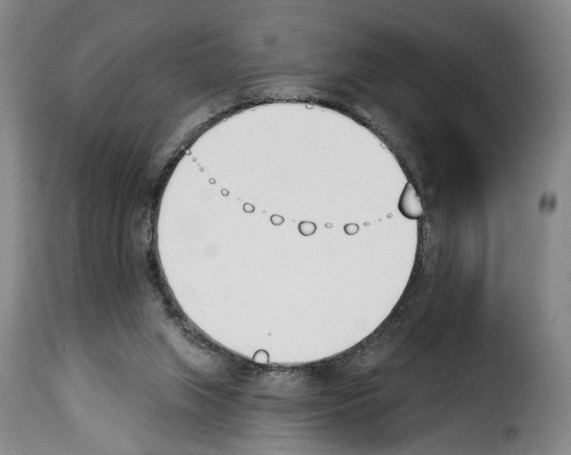 X0000114240063200911201143