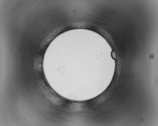 X0000114240065200911201143