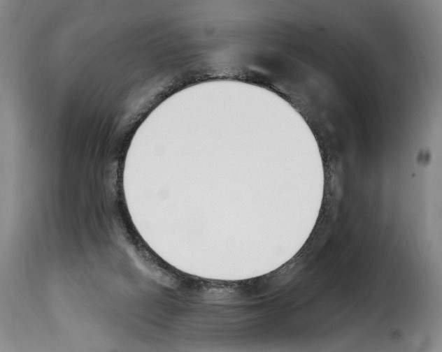 X0000114240066200911201143