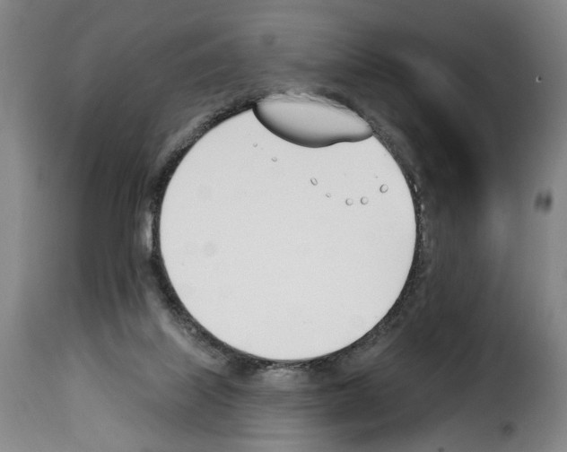 X0000114240067200911201143