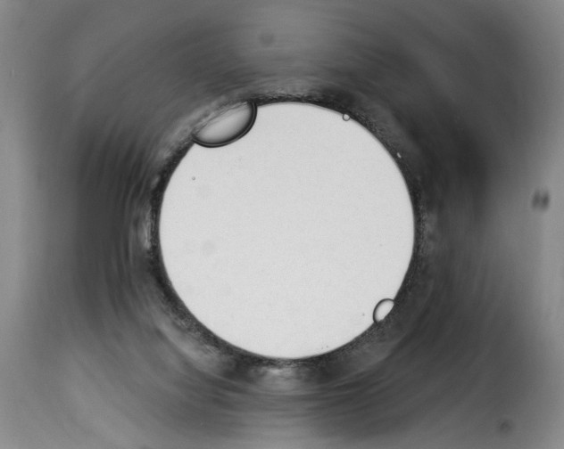 X0000114240068200911201143