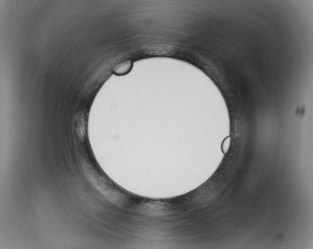 X0000114240069200911201143