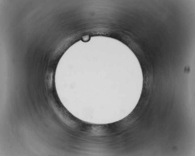 X0000114240070200911201143