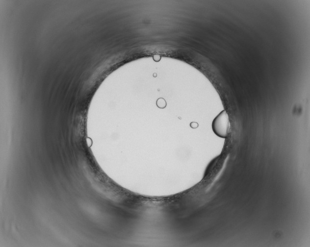 X0000114240071200911201143