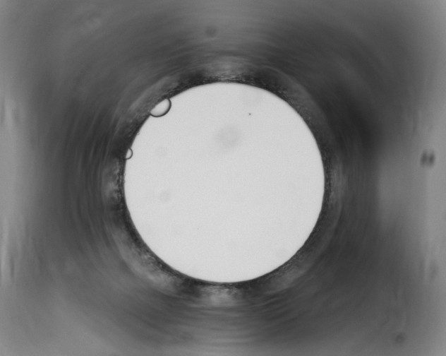 X0000114240073200911201144