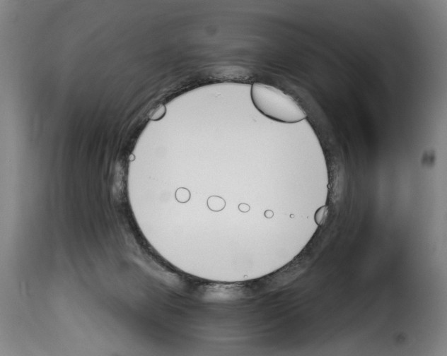 X0000114240077200911201144